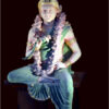 artis_002_la